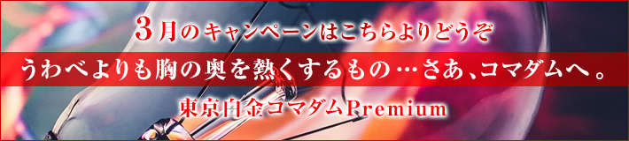3月のキャンペーン