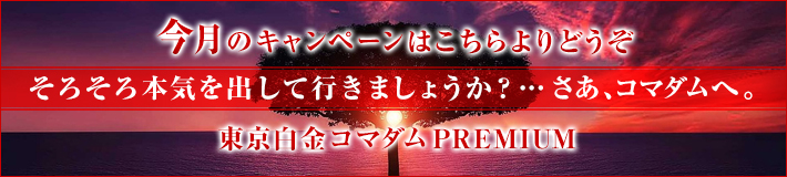 今月のキャンペーン