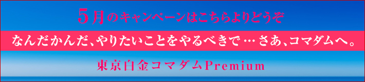 5月のキャンペーン