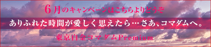 6月のキャンペーン