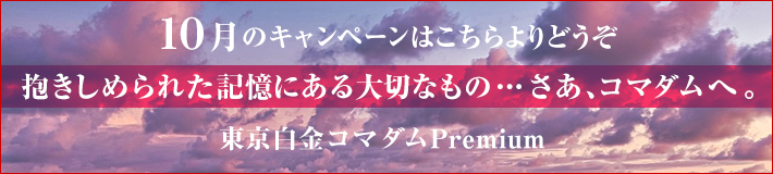 10月のキャンペーン