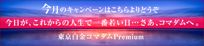 今月のキャンペーン