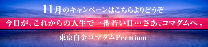 11月のキャンペーン