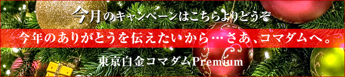 今月のキャンペーン