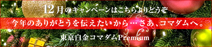 12月のキャンペーン