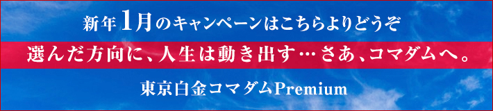 1月のキャンペーン