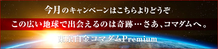 今月のキャンペーン