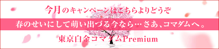 今月のキャンペーン