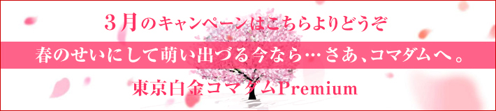 3月のキャンペーン