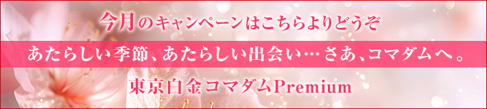 今月のキャンペーン