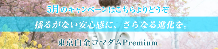 今月のキャンペーン