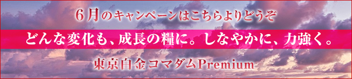 今月のキャンペーン