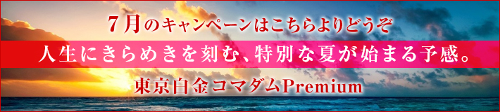 今月のキャンペーン