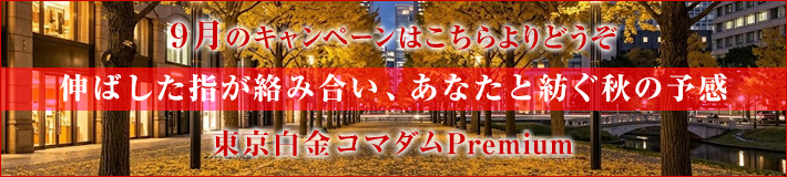 今月のキャンペーン